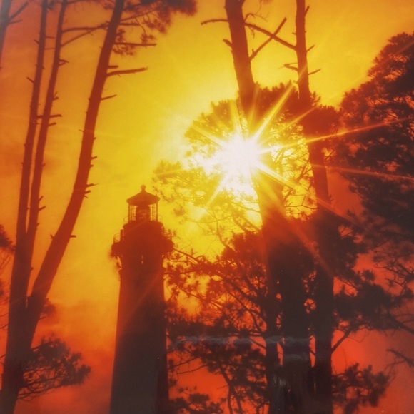 ART-PHOTOGRAPHY - Picture 11 of 14